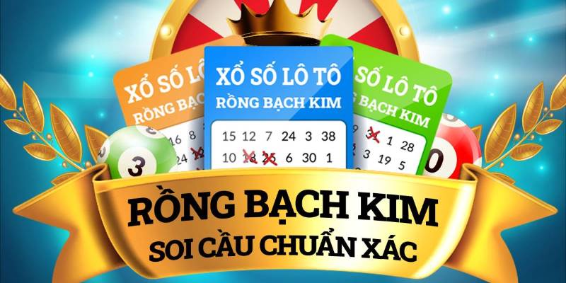 Tóm tắt về dàn đề Rồng Bạch Kim