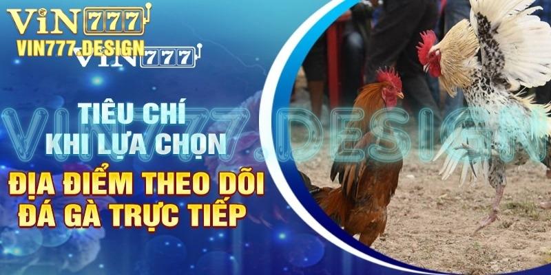 Dịch vụ cá cược đá gà hấp dẫn nhất chỉ có tại Vin777